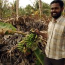 ​농약 과소비 국가들, 한국 열두 번째! 이미지