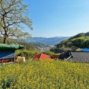 그날,미장원 이미지