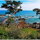 노송1리_마을회관 이미지