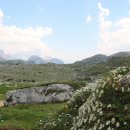 초원꽃화원 이미지