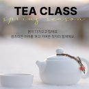 티클래스 이미지