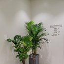 대치성모여성의원 이미지