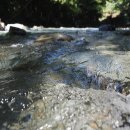 백석골길2 | 포장이사할 때 비가 오면 꼭 알아야 할 중요한 점과 대비 방법