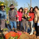 성도 농장 이미지