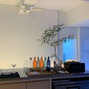 수영 카페, 남천동카페 칵테일도 있는 CSB Lounge