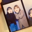 포댕포댕 이미지