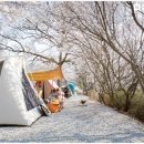 죽산농협주유소 이미지