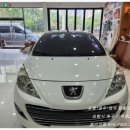 양덕동207 이미지