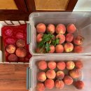 병팔농장 이미지