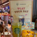 토이짱 | 스타벅스 토이스토리 콜라보 굿즈 정보 버즈 키위팝 에너지 피지오 후기