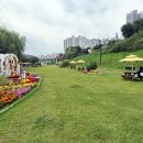 피크닉장 이미지