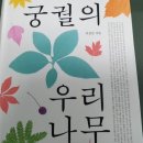 마령초등학교 | [책리뷰] 궁궐의 우리나무