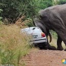 기아오토큐 금곡점 이미지