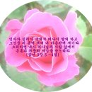 서울대공원 이미지