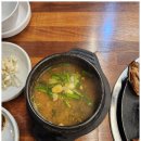 영월맛집