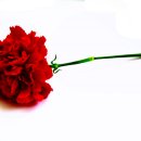 스마트혜인의원 이미지