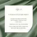 르데이