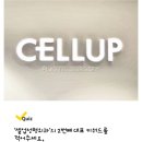 셀럽성형외과의원 이미지