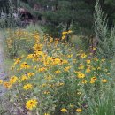 무릉도원면-24 이미지