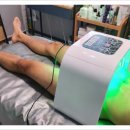 보바올