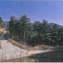 북동001 이미지