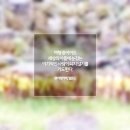 곡성-111 이미지