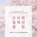오브제컬렉션 이미지