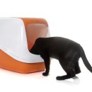 배곧도담동물병원 이미지