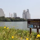 신 태화루 이미지