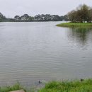 하소천 | 161. 제천 명소 탐방기1(의림지)