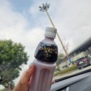 베이원 | 애견 동반 3박 4일 여수 여행!! 1일차 제일 중요한 숙소&#39;베이원 파크 707호&#39;생생후기!!