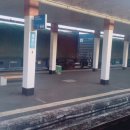 보불로(동) 이미지