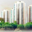 웅진태권도체육관 이미지