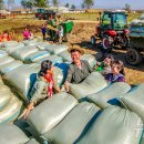 재령농장 이미지