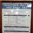 초콜릿부동산중개 이미지