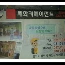 세화카에이전트 Daum카페