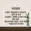 컴퓨터 ITQ자격증 이미지