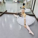 이영주발레스쿨학원 이미지