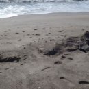 바다모은 이미지