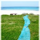 그녀의 바다 이미지
