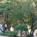 한누리 행정사사무소 이미지