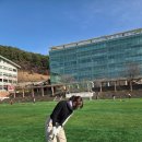 파크골프 이미지