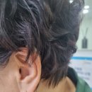 귀편한보청기 이미지