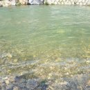 낙단보자전거민박 이미지