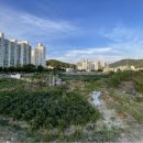 공동주택용지/아파트부지/수도권 마지막 황금 노른자 7000평 매매/신도시지구 지역지구확정.... 경기도 수도권 신도권역으로 개발계획 이미지