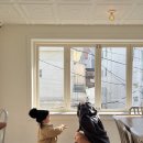 프라한 남천점 이미지