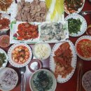 신토불이 정책브리핑
