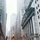 화이트빌리 이미지