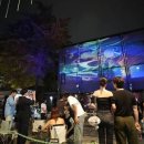 파라다이스 이미지