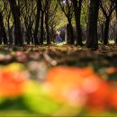 항몽유적지 이미지